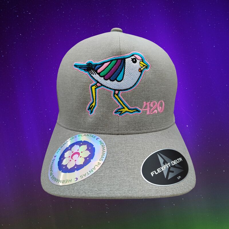 1. Gorra time to fly frente.jpg Miniatura