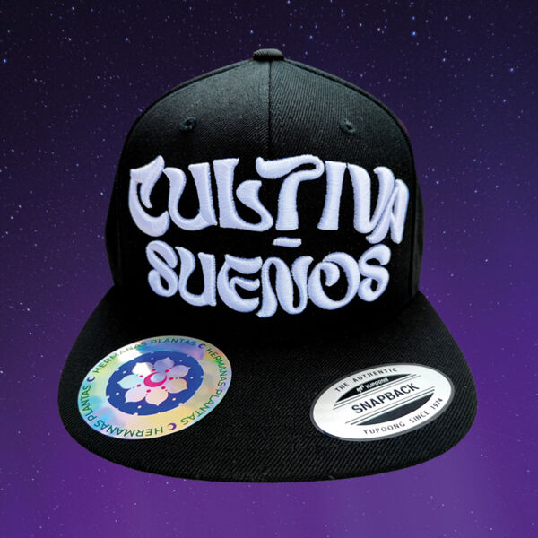 Gorras Miniatura