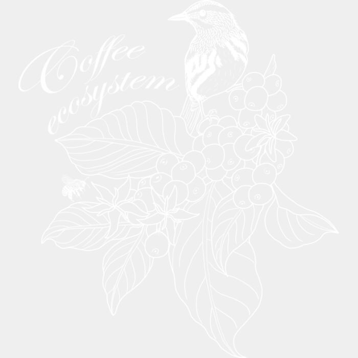 Coffee ecosystem full blanco Miniatura